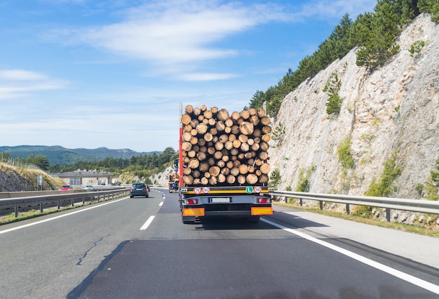 Truck carrying wood on motorway