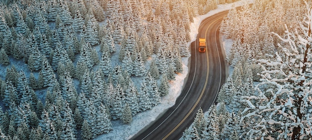 Truck driving on the highway through a forest full of trees