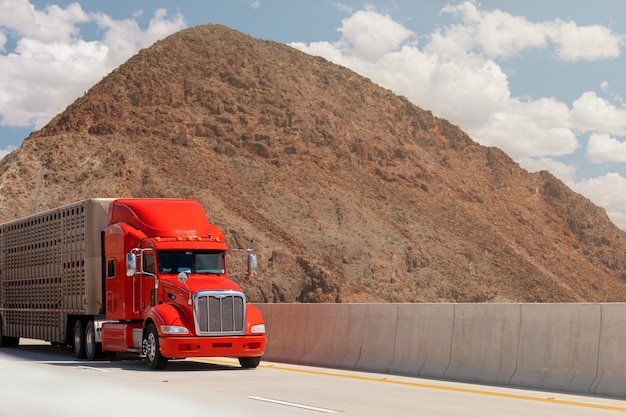 Truck with a trailer for transporting animals on the highway against the backdrop of the mountain. Freight concept.