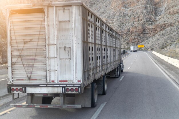 A truck with the word " exit " on the back.