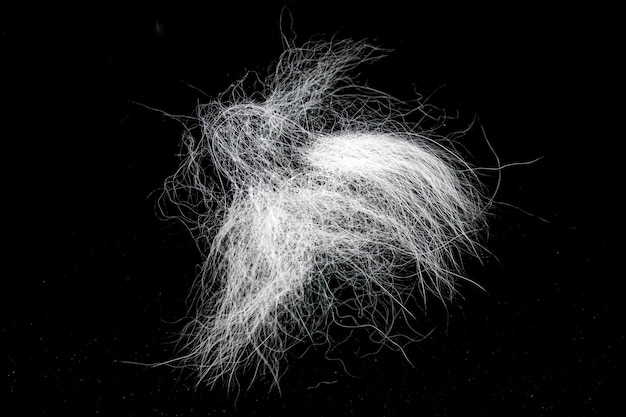 Tuft of white fur heap grayhaired animal hair isolated on black top view