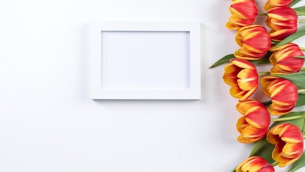 tulip flower bunch - Beautiful Red, yellow bouquet isolated on white table, top view, flat lay,  design concept.