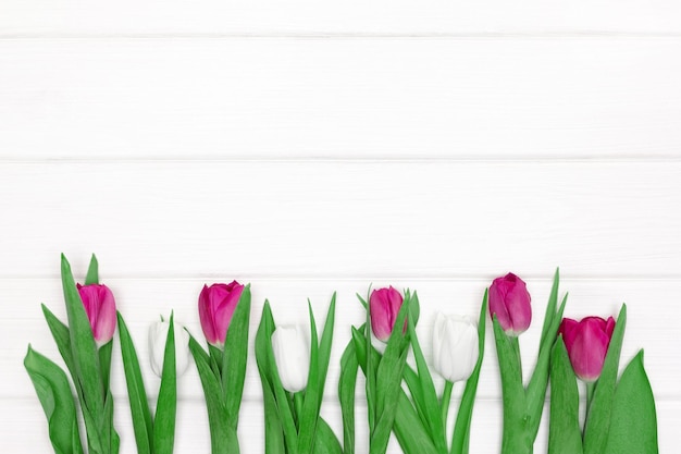 Tulip flowers on white painted wooden boards Copy space Abstract floral background