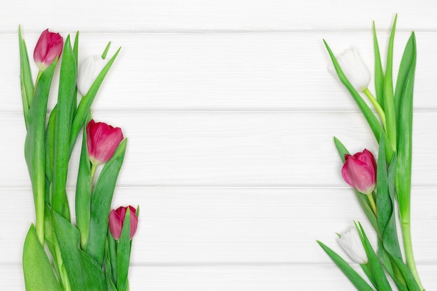 Tulip flowers on white painted wooden boards. Copy space. Floral spring frame background