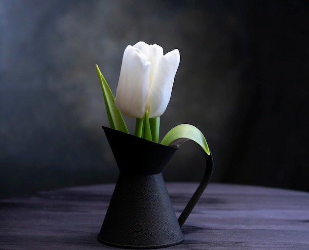 A tulip in an old vase