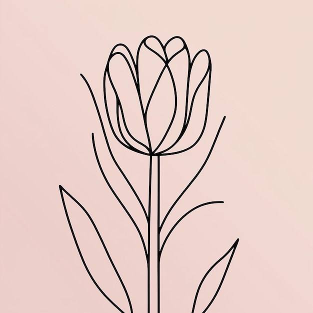 Photo tulip one line drawingabstract flower continuous line minimalist contour drawing of tulip