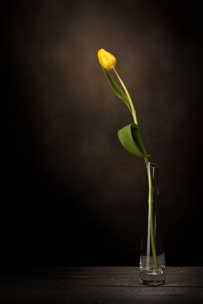 A tulip in a vase. Classic still life with a single tulip flower in a vintage glass vase on a dark background and an old wooden table.