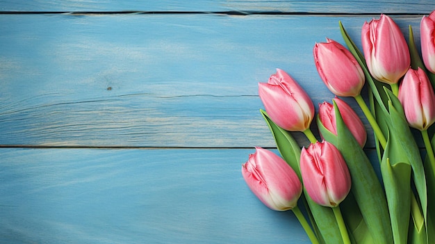 tulips on blue wood photographic shots