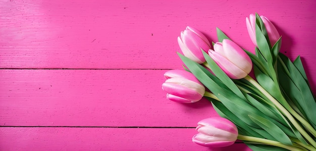 Tulips on pink board background banner Generative AI