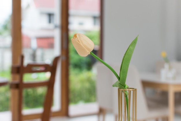 Tulips in a vase, and blurred background