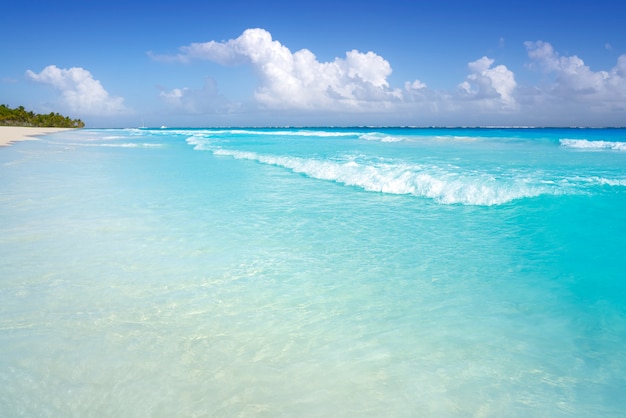 Tulum Caribbean beach in Riviera Maya