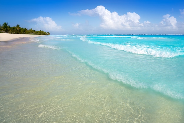 Tulum Caribbean beach in Riviera Maya