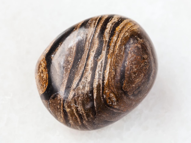 Tumbled stromatolite gemstone on white