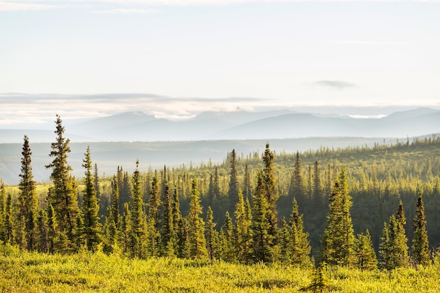 Photo tundra landscapes above arctic circle in canada.