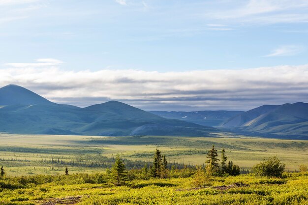 Tundra landscapes above Arctic circle