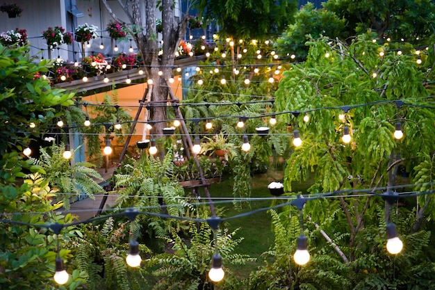 Photo tungsten light line was decorated in the container garden at night.