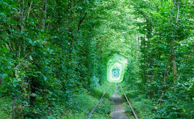 Tunnel of love