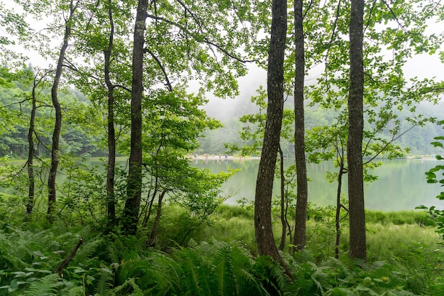 TURKEY  ARTVIN 20160715 Karagol Black lake in Eastern Black Sea