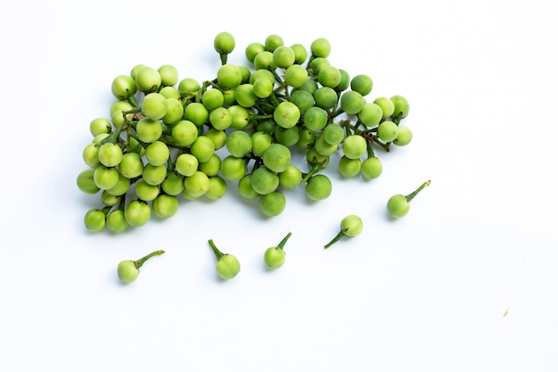 Turkey berry isolated on white