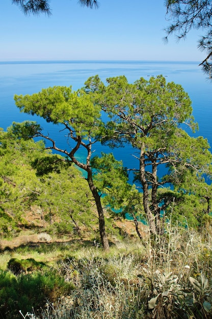 Turkey sea landscape