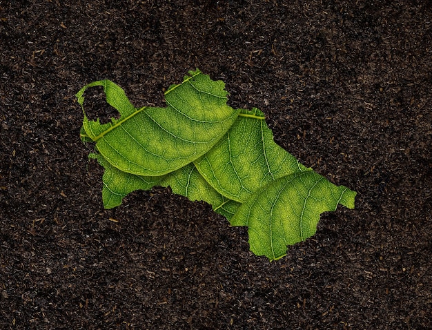 Turkmenistan map made of green leaves on white background ecology concept