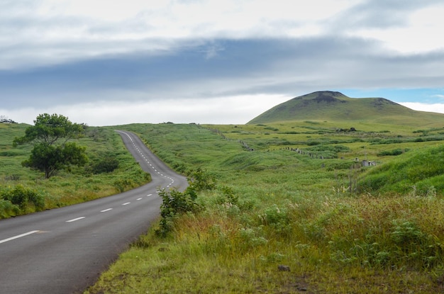 Turning road in the uruguayan countryside