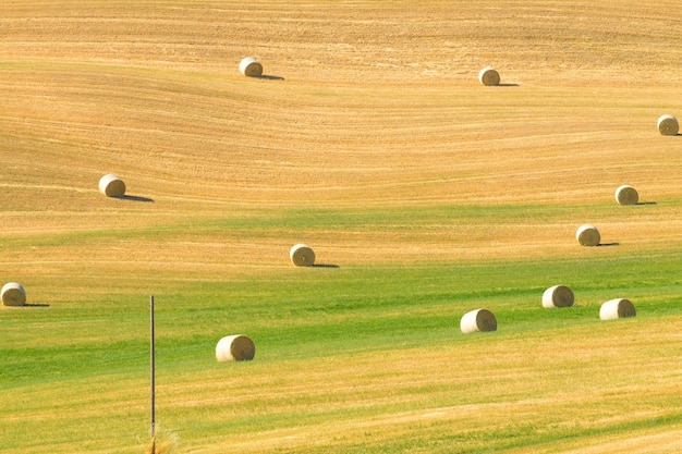 Tuscany hills landscape Italy