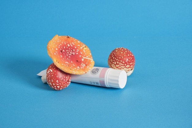 Tuyuk cream or ointment and fly agaric on blue background