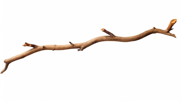 Twig Side View Isolated on White