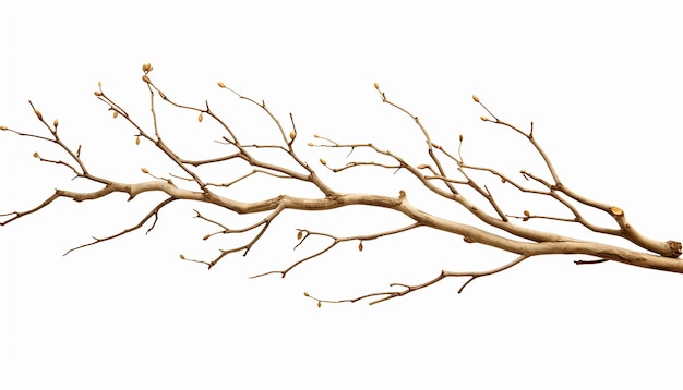 Twig in Side View