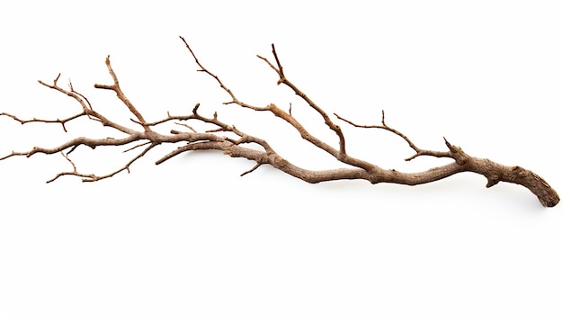 Twig in Side View