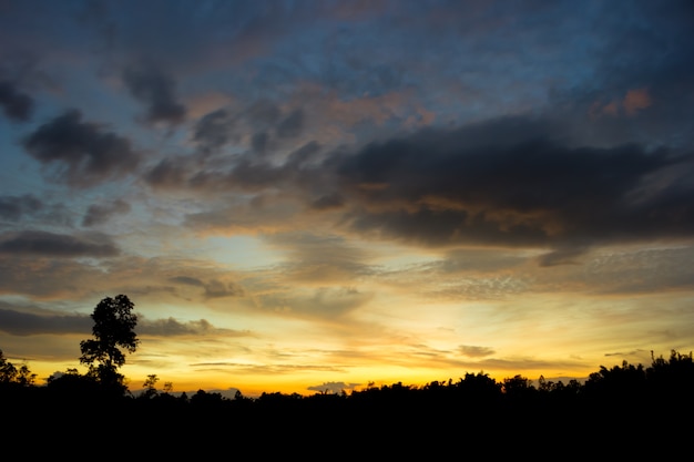 Twilight sky and rainny clound with tree. High level of noise. Night sky with clound.