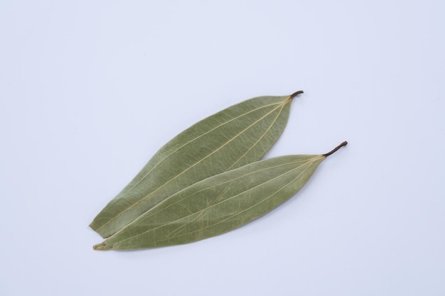 Twin Bay Leaves