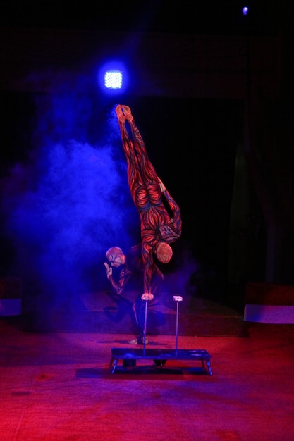 Twins acrobats in neon costumes stand on their arms, ultraviolet makeup