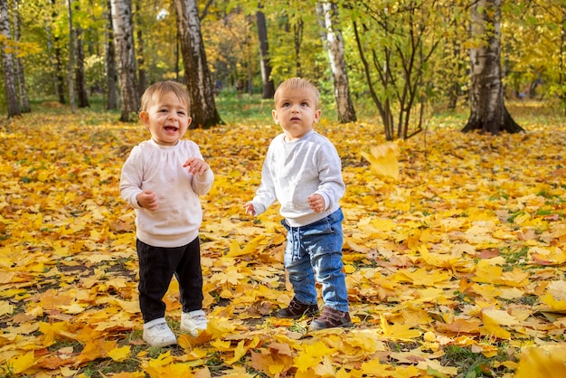 Two adorable toddlers boy and girl in an autumn park in yellow leaves