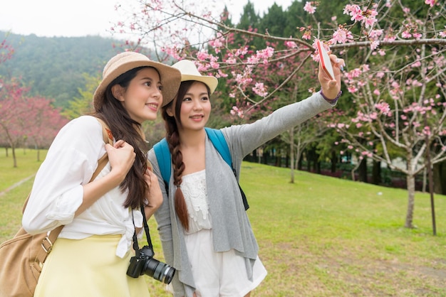 Two Asian woman taking selfie together under the cherry blossom trees using their smart phones.