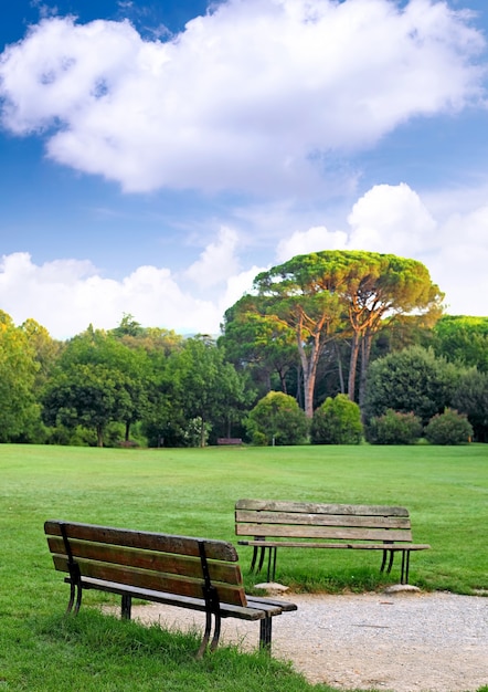 Two benches in the lawn during early spring day.