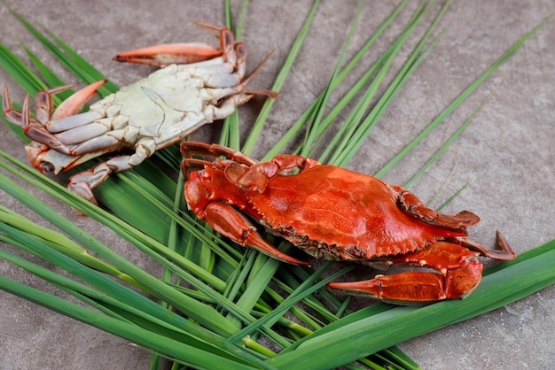 Two boiled crabs with grass on a grey surface