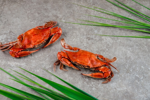 Two boiled crabs with green grass on a grey surface.