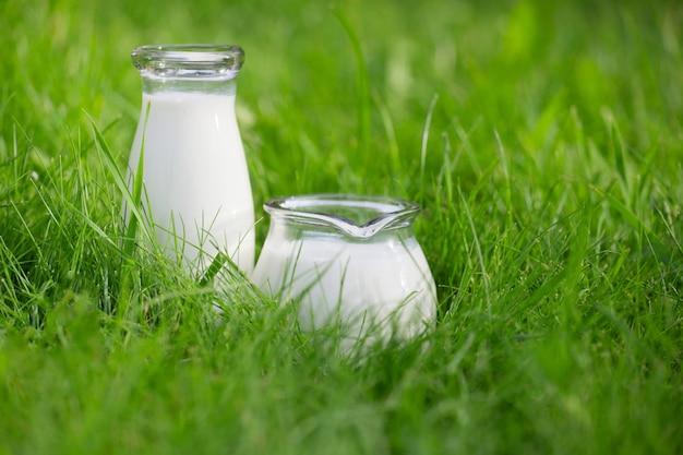 Two bottles of fresh milk over summer background