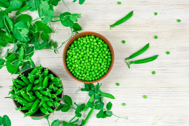 Two bowls of fresh young green peas in stitches and peeled against a background of leaf shoots sprigs of young green peas on a white wooden table View from above Proper nutrition vitamins