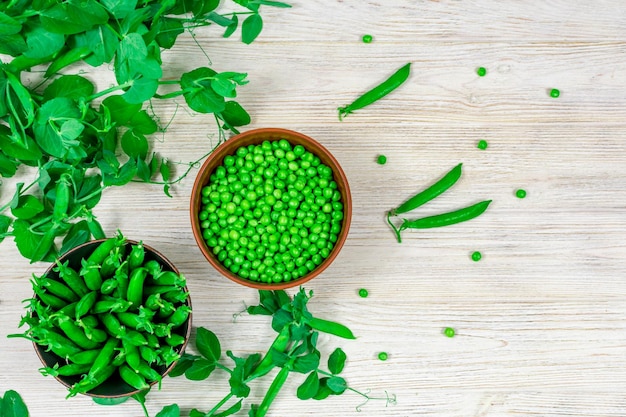 Two bowls of fresh young green peas in stitches and peeled against a background of leaf shoots sprigs of young green peas on a white wooden table View from above