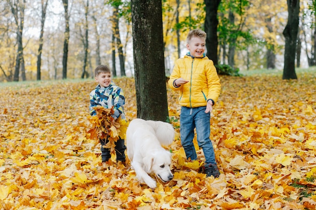 Two boys having fun playing with a dog in an autumn park