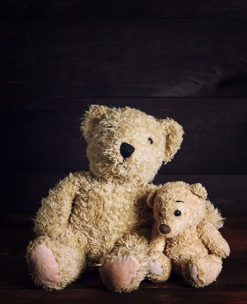 Two brown soft teddy bears are sitting 