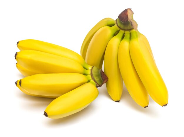 Two bunch of baby bananas isolated on white background. Flat lay, top view