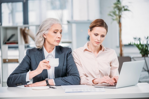 Two businesswomen with laptop discussing business project on meeting in office