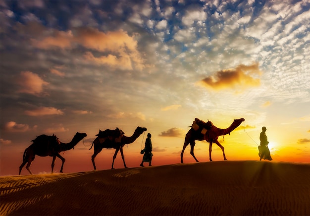 Two cameleers camel drivers with camels in dunes of Thar deser