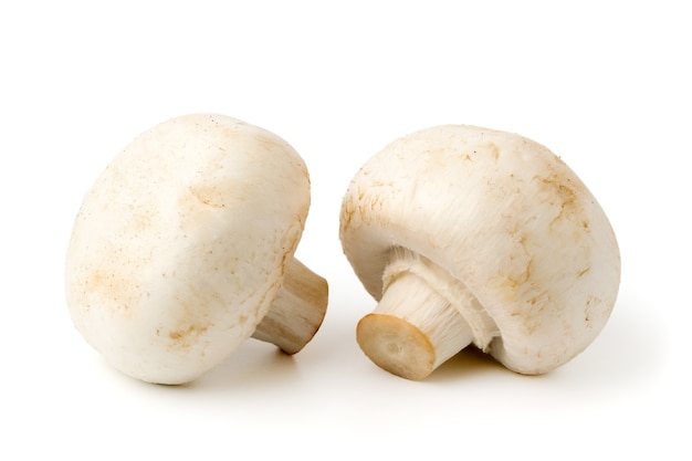 Two champignon mushrooms close-up on white. Isolated