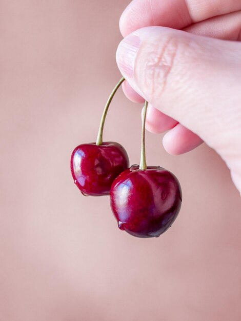 Photo two cherries in hand