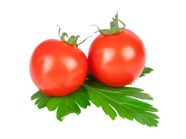 Two cherry tomatoes on a green parsley leaf isolated on white